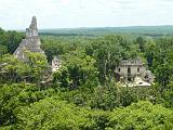 Tikal 3